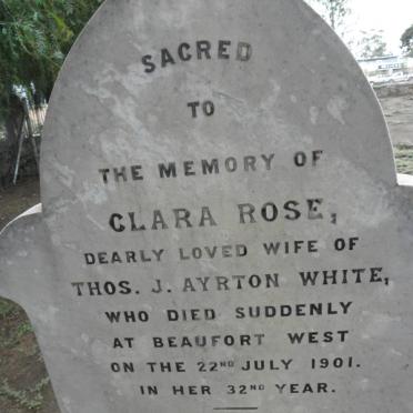 WHITE Clara Rose -1901