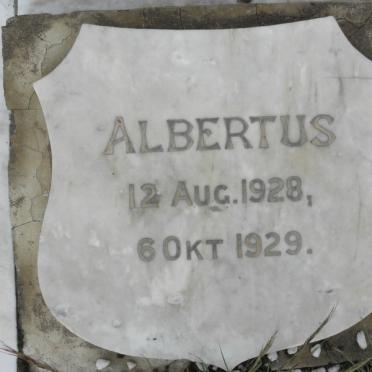 ? Albertus 1928-1929
