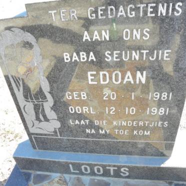 LOOTS Edoan 1981-1981