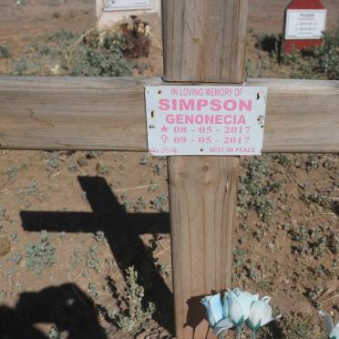SIMPSON Genonecia 2017-2017