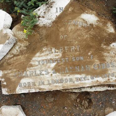 GIBBS Albert 1870-?