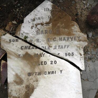 HARVEY Harold -1905