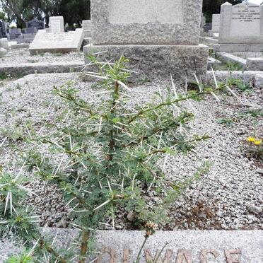 OLWAGE Johannes Machiel 1906-1944