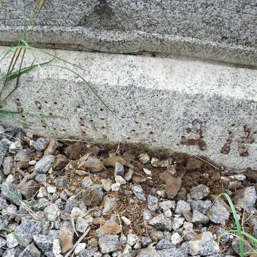 PIENAAR Louis Daniel 1905-1965