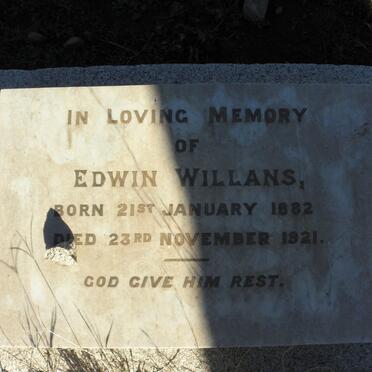 WILLANS Edwin 1882-1921