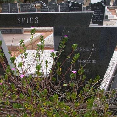 SPIES Sannie C. nee HAASBROEK 1920-197?