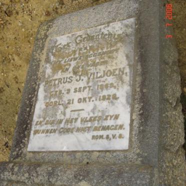 VILJOEN Petrus J. 1869-1928