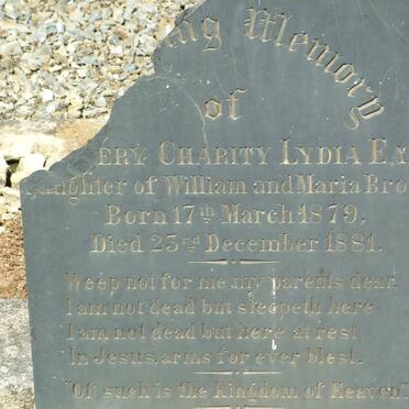 BROWN ?ery Charity Lydia Earl 1879-1881