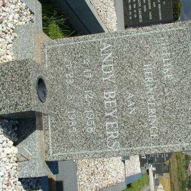 BEYERS Andy 1958-1985