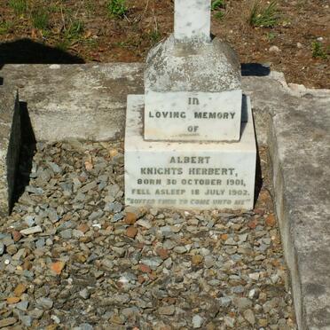 HERBERT Albert Knights 1901-1902