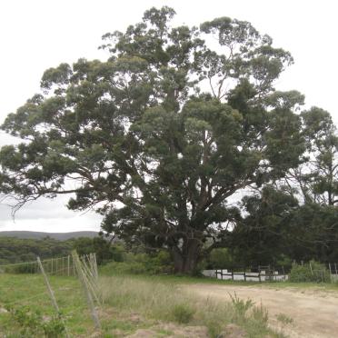 1. Overview