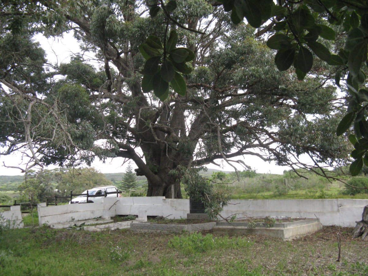 2. Overview