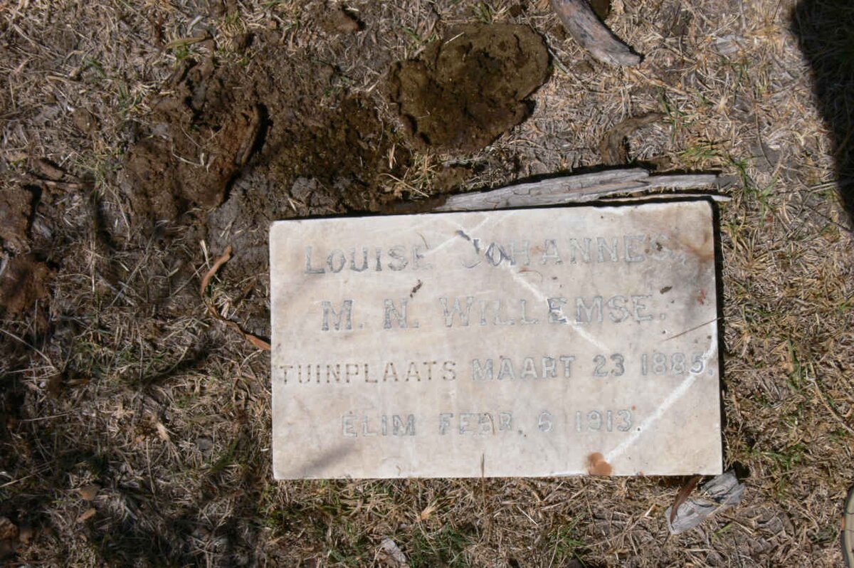 WILLEMSE Louise Johannes M.N. 1885-1913