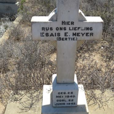Western Cape, CALITZDORP district, Buffelsjagtsfontein 61_1, farm cemetery