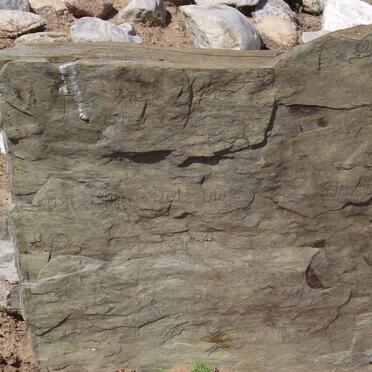 MARAIS J.S. 1857-1934