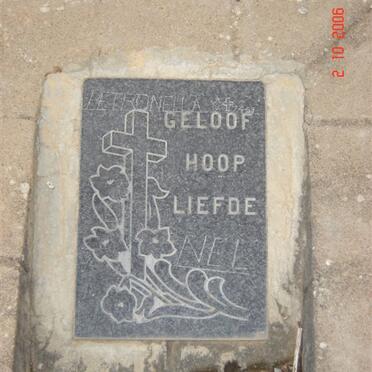 NEL Petronella -1953