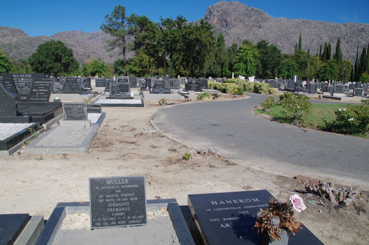 3. Overview