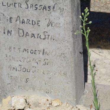 ? Ockert Philippus Hermanus 1872-1933