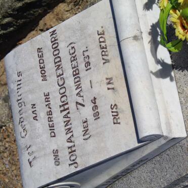 HOOGENDOORN Johanna nee ZANDBERG 1894-1937