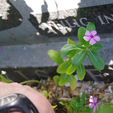 VISSER Andries B. 1922-1990