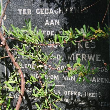 MERWE Carel Johannes Petrus, v.d. -1909
