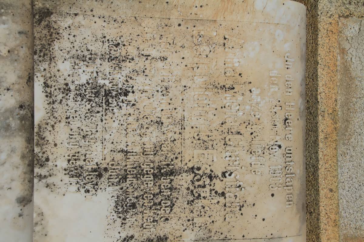 LEIPOLDT Anna Meta Christiana nee ESSELEN -1903