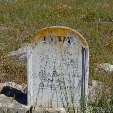 LOVE ?dus 18?1-1955 &amp; Anna Rachel Sophia 18??-1967