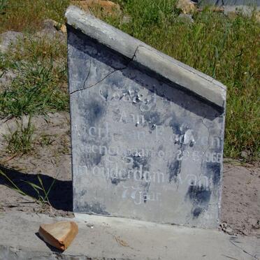 ROOYEN Gert, van -1966