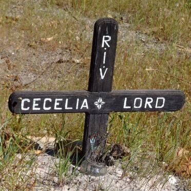 LORD Cecelia