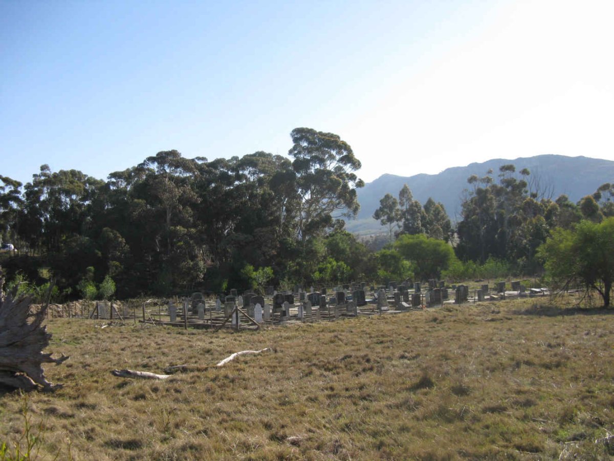 1. Overview