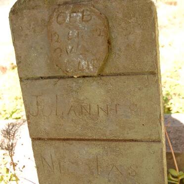 MONG Johannes Nicolas 1852-1938_1