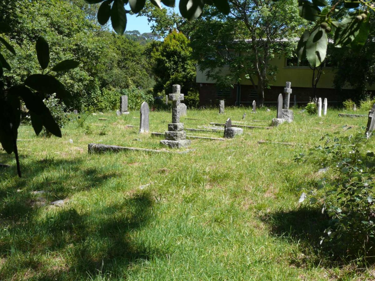 5. Overview