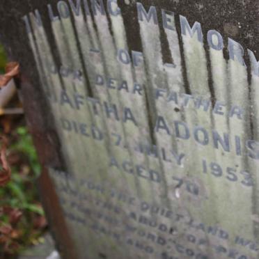 ADONIS Jaftha -1953