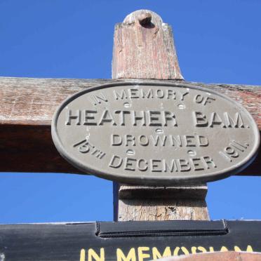 BAM Heather -1911