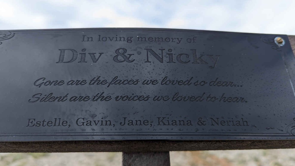 ? Div & Nicky