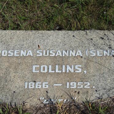 COLLINS Rosena Susanna 1866-1952