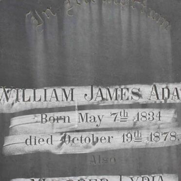ADAMS William James 1834-1878