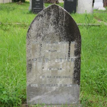 POTTER T.  -1914