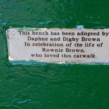 BROWN Rownie