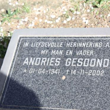 GESOOND Andries 1941-2002