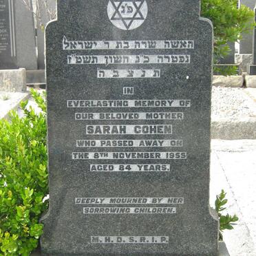 COHEN Sarah -1955