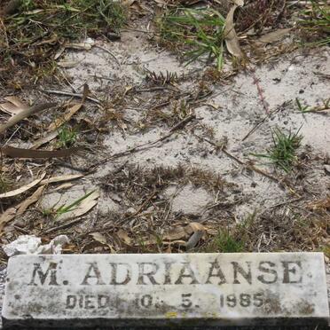 ADRIAANSE M. -1985