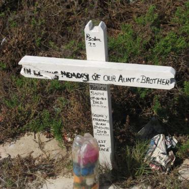 BISICK Louisa 1945-2003 :: ABRAHAMS Rodney 1972-2005