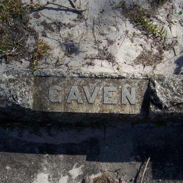 GAVEN