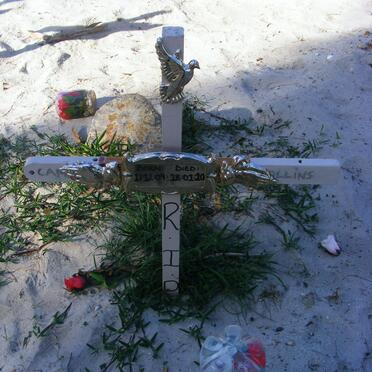 ?OLLINS Cam? 1909-2000