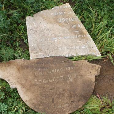 ELDRIDGE J.W. nee CHIAPPINI  -1875 :: ELDRIDGE ?