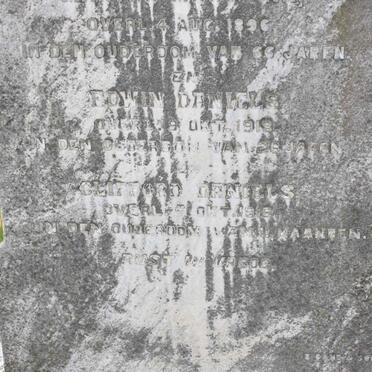 DANIELS Edwin -1918 :: DANIELS Clifford -1918