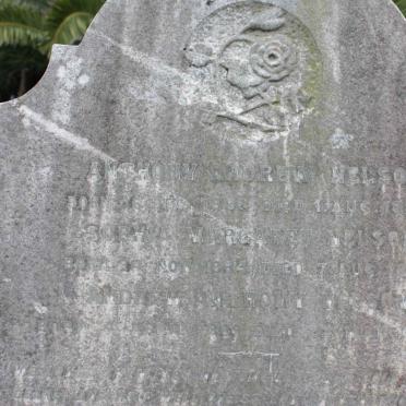 NELSON Anthony Andrew 1886-1887 :: NELSON Sophia Margaret 1884-1887 :: NELSON Andrew Anthony 1888-1894