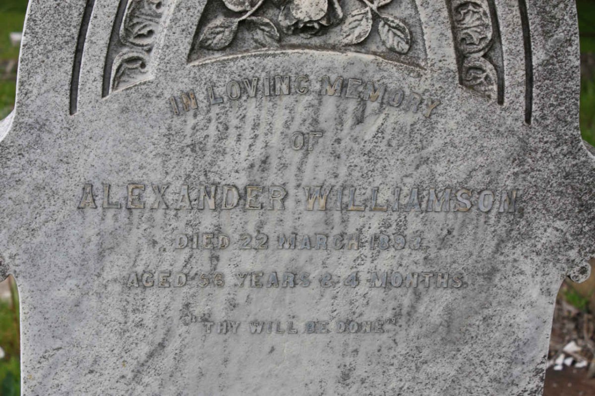 WILLIAMSON Alexander 1893