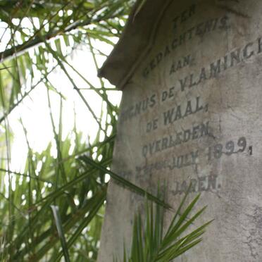 WAAL ? De Vlamingh, de -1899